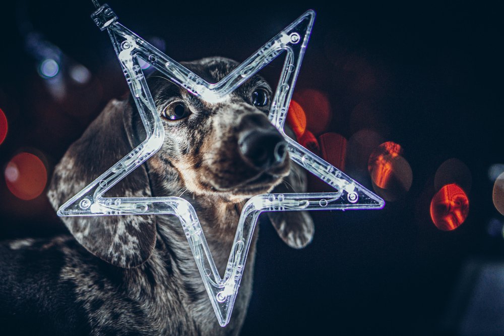 Photograph by Анастасия Владимирова