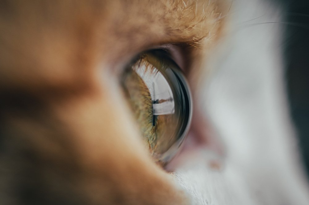 Photograph by Денис Белов