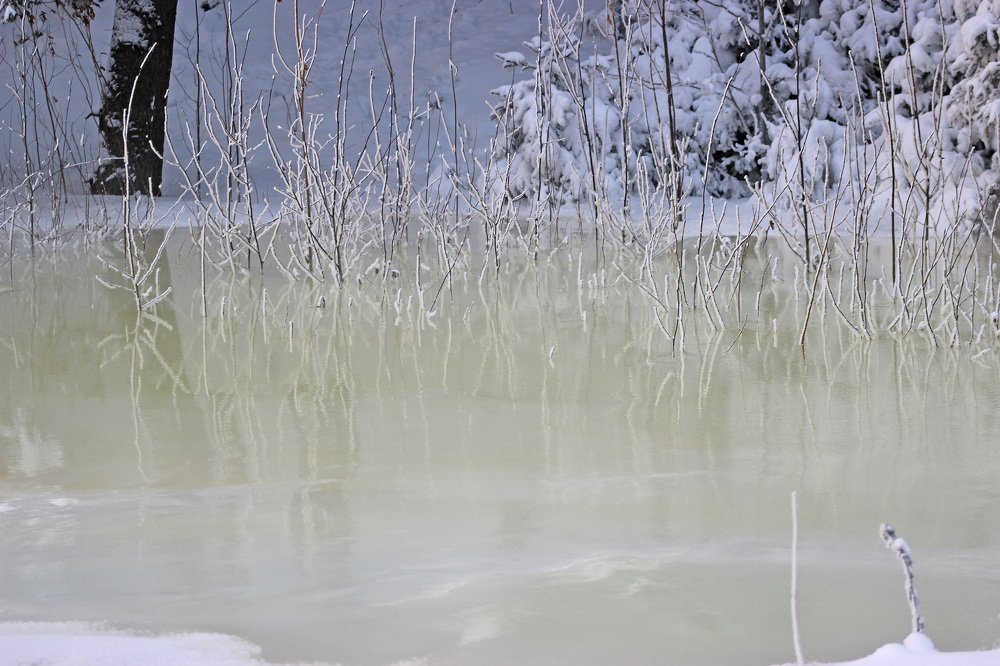 Ледяной ручей