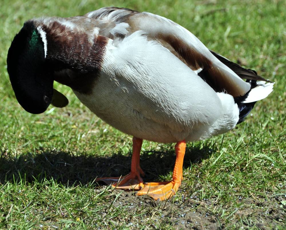 Photograph by Eva Minßen