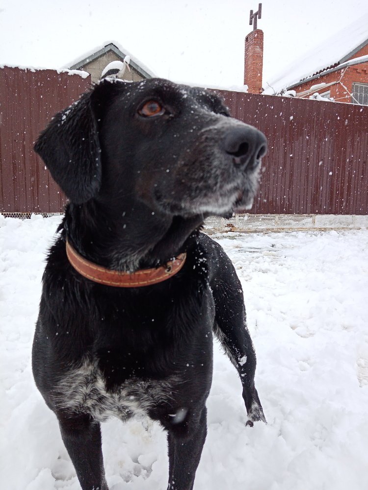 Photo #5506132