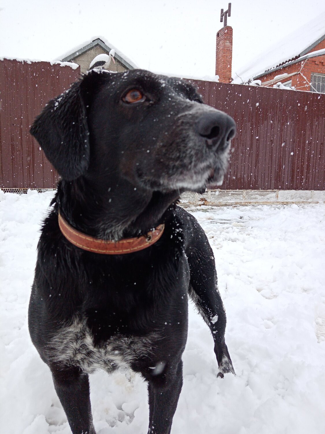 Photo #5506132