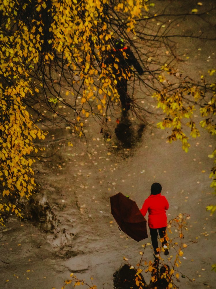 Photograph by Александра Мазур