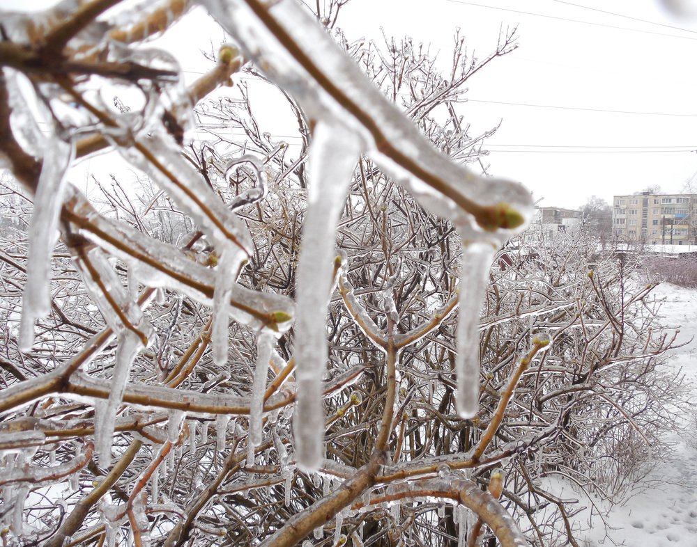 Фотография автора Valiantsina Sivakova