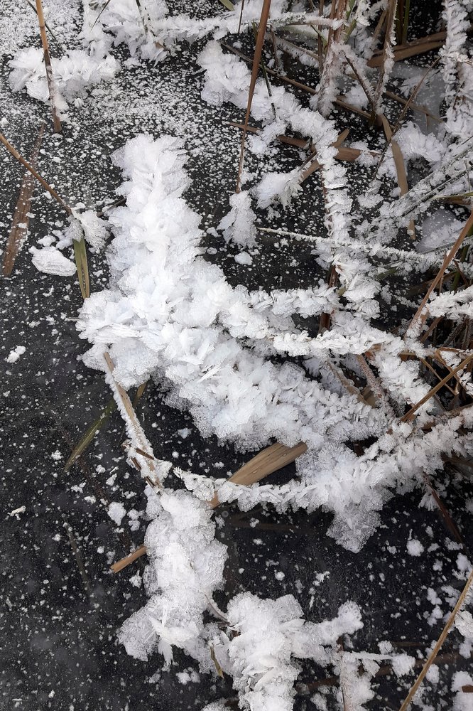 Photograph by Татьяна Иванникова