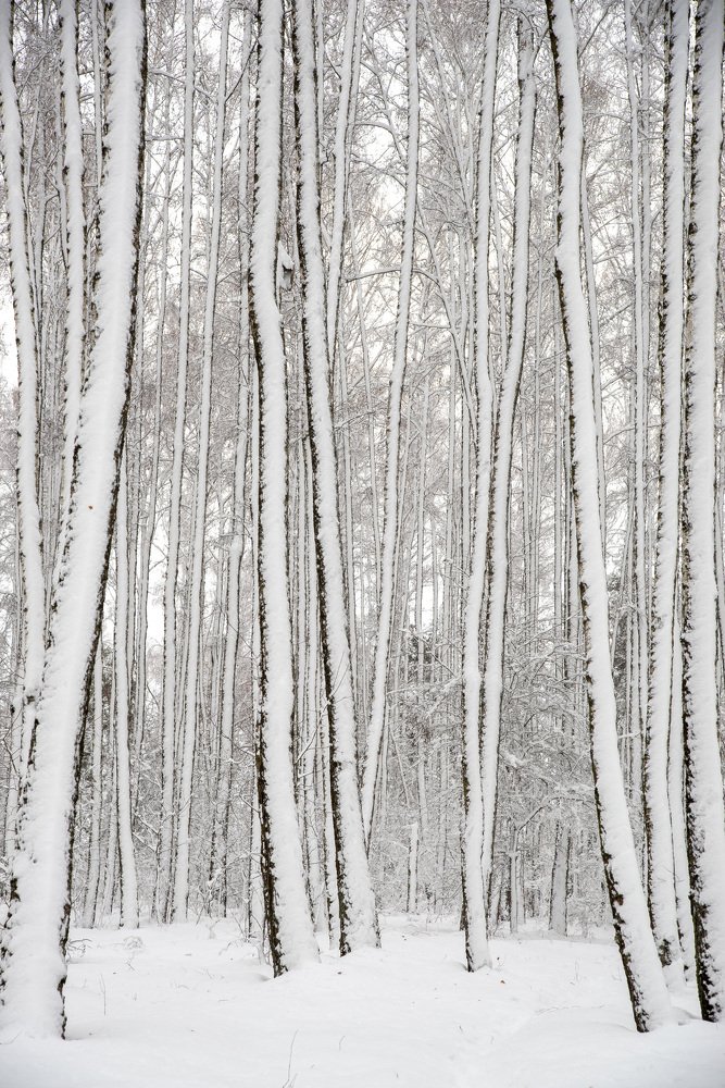 Photograph by Константин Усов