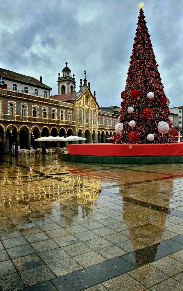 Photograph by Gisela Nunes