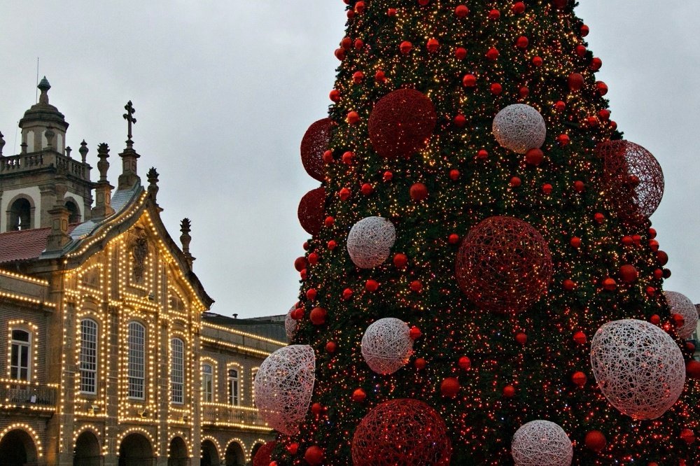 Photograph by Gisela Nunes