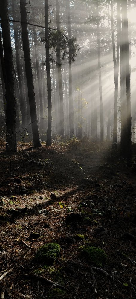 Photograph by Красимир Георгиев