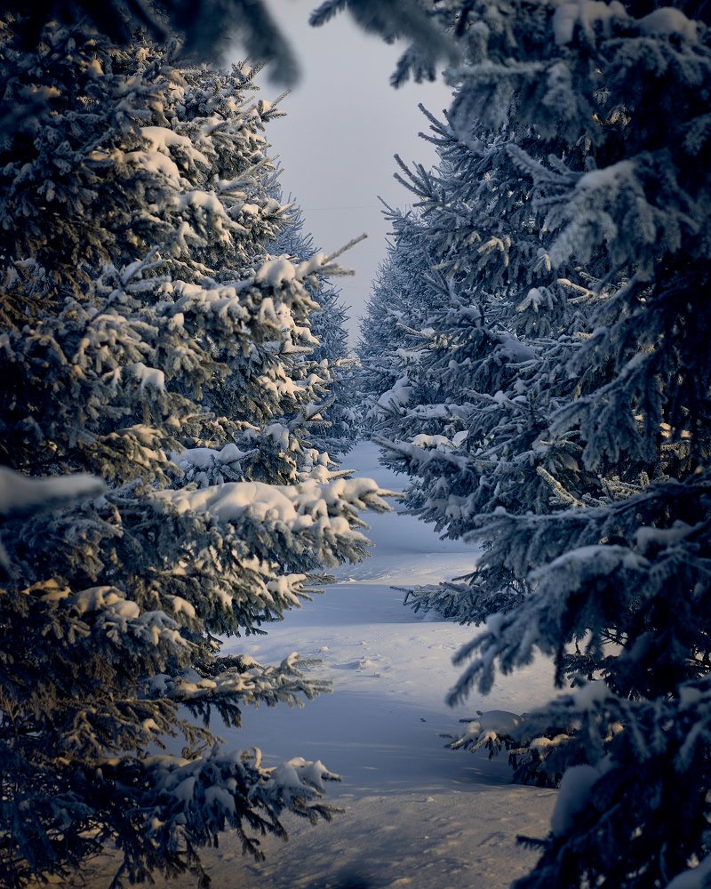 Photograph by Евгений Имамутдинов