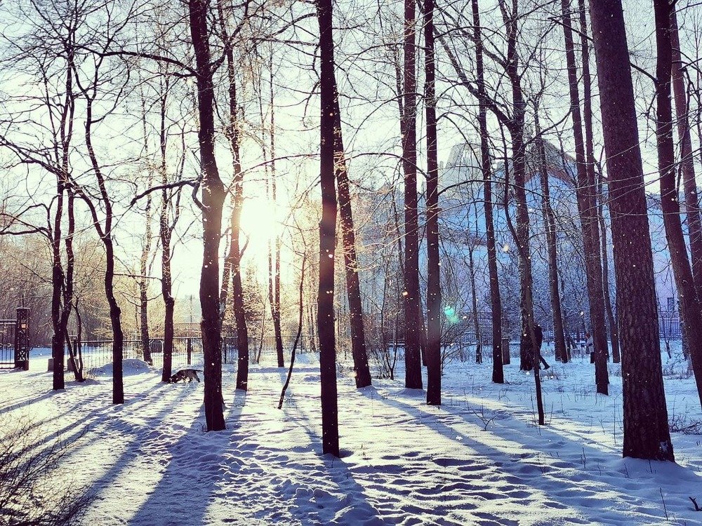 Photograph by Kristina Frizyuk