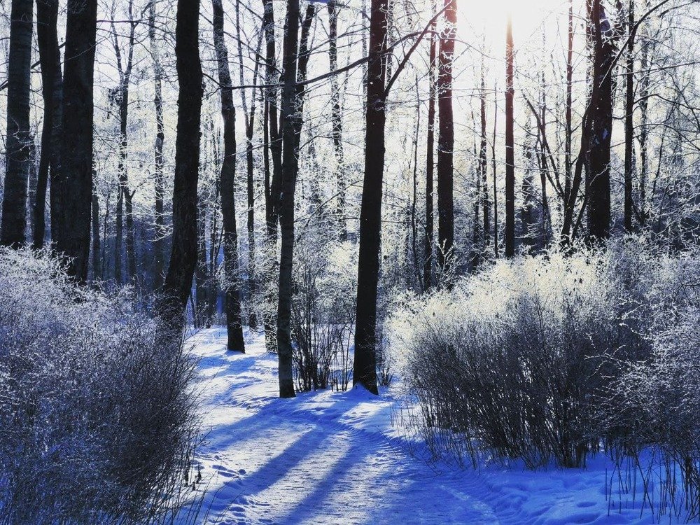 Photograph by Kristina Frizyuk