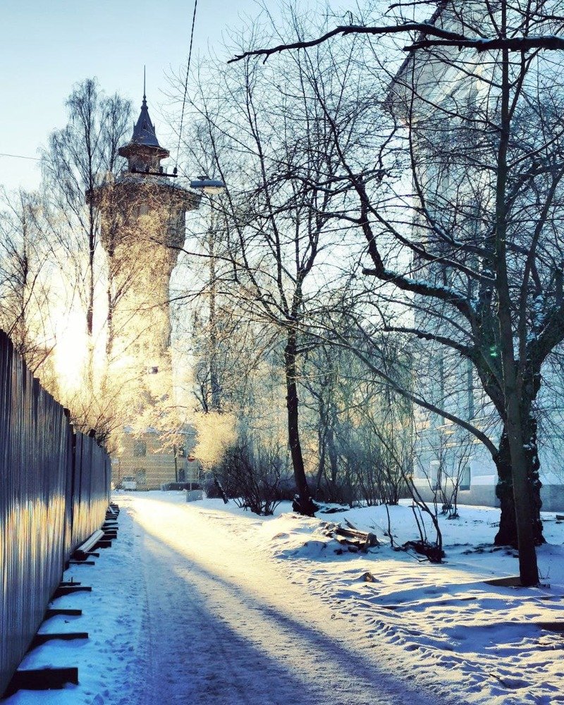 Photograph by Kristina Frizyuk