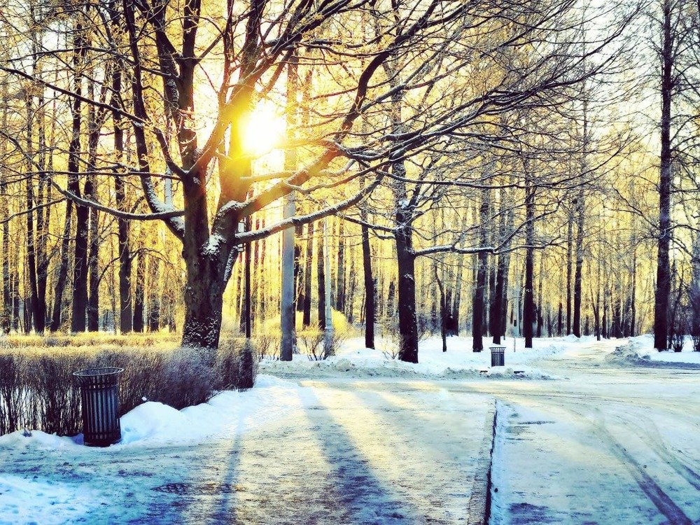 Photograph by Kristina Frizyuk