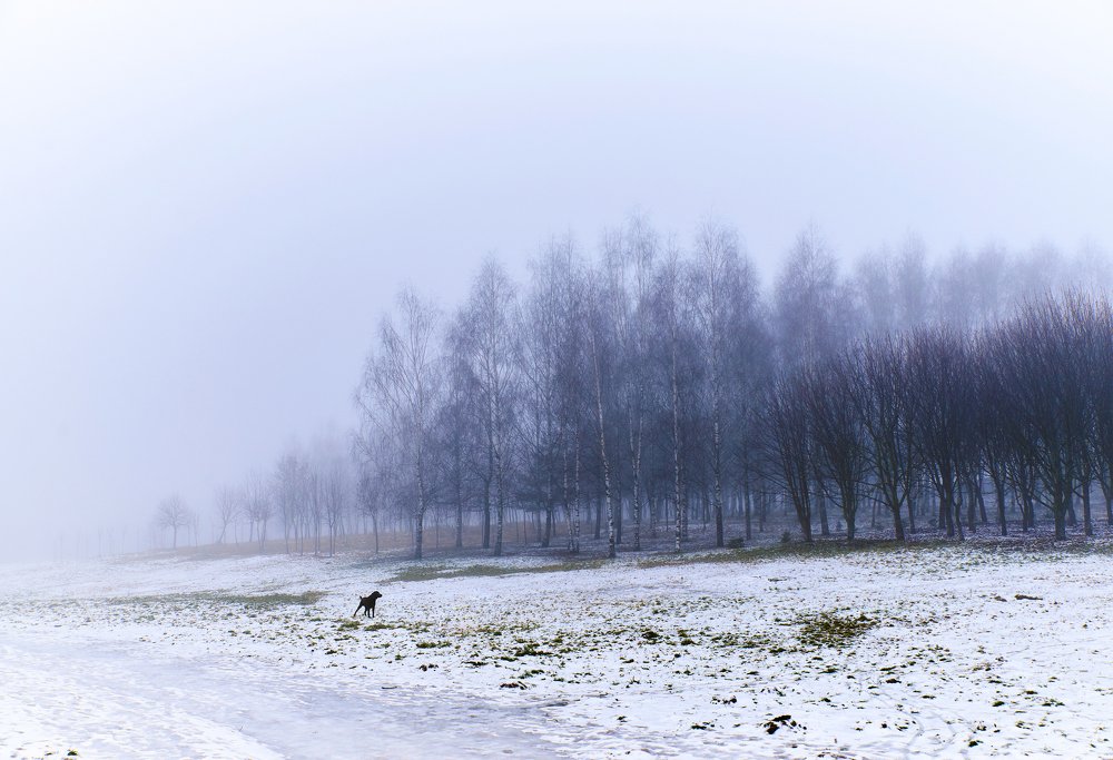 Photograph by Екатерина Коломыцева