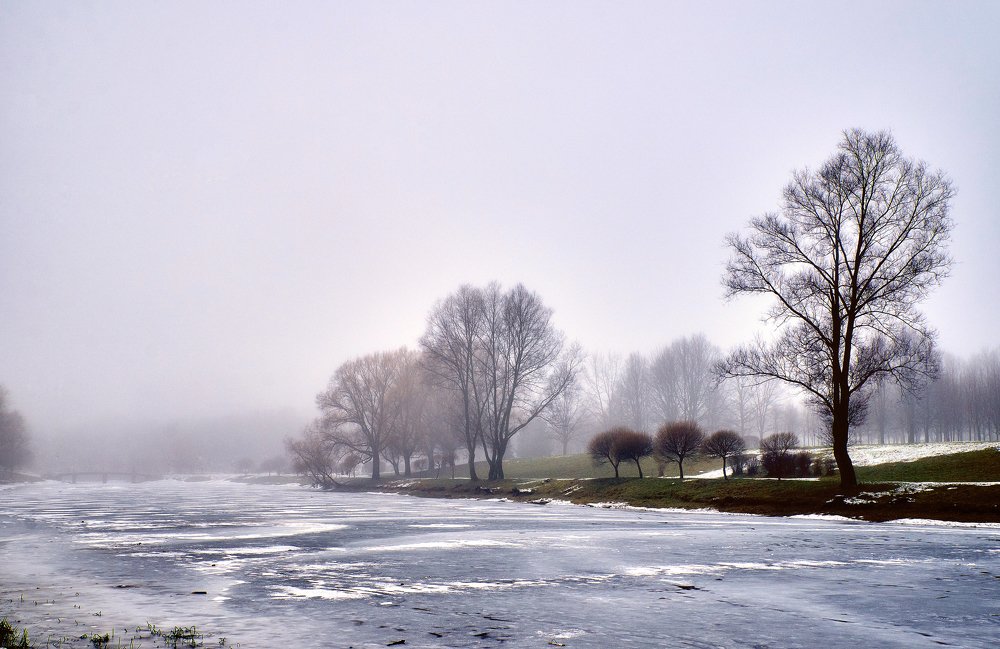 Photograph by Екатерина Коломыцева