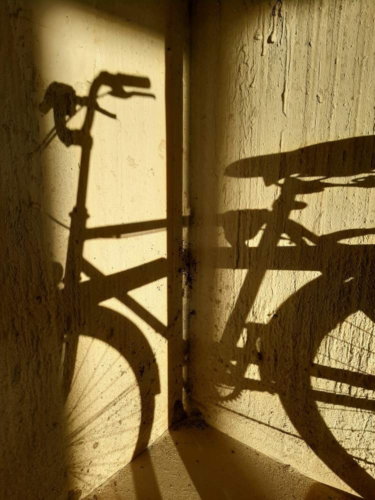 Фотография автора Владимир