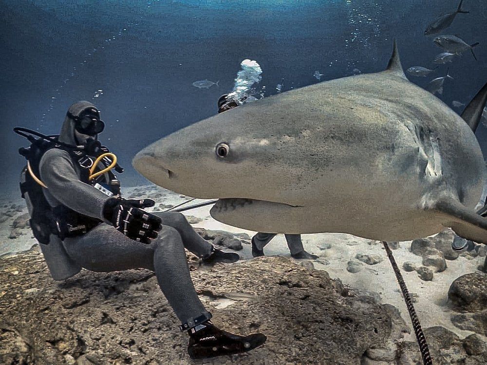 Photograph by Mizael Palomeque