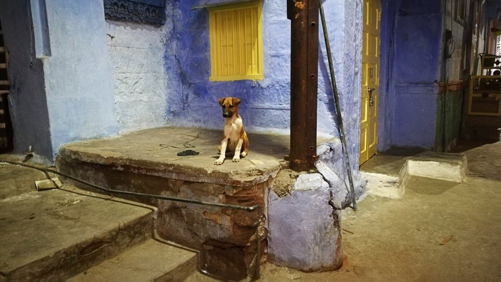 Photograph by Theodor Stanciu