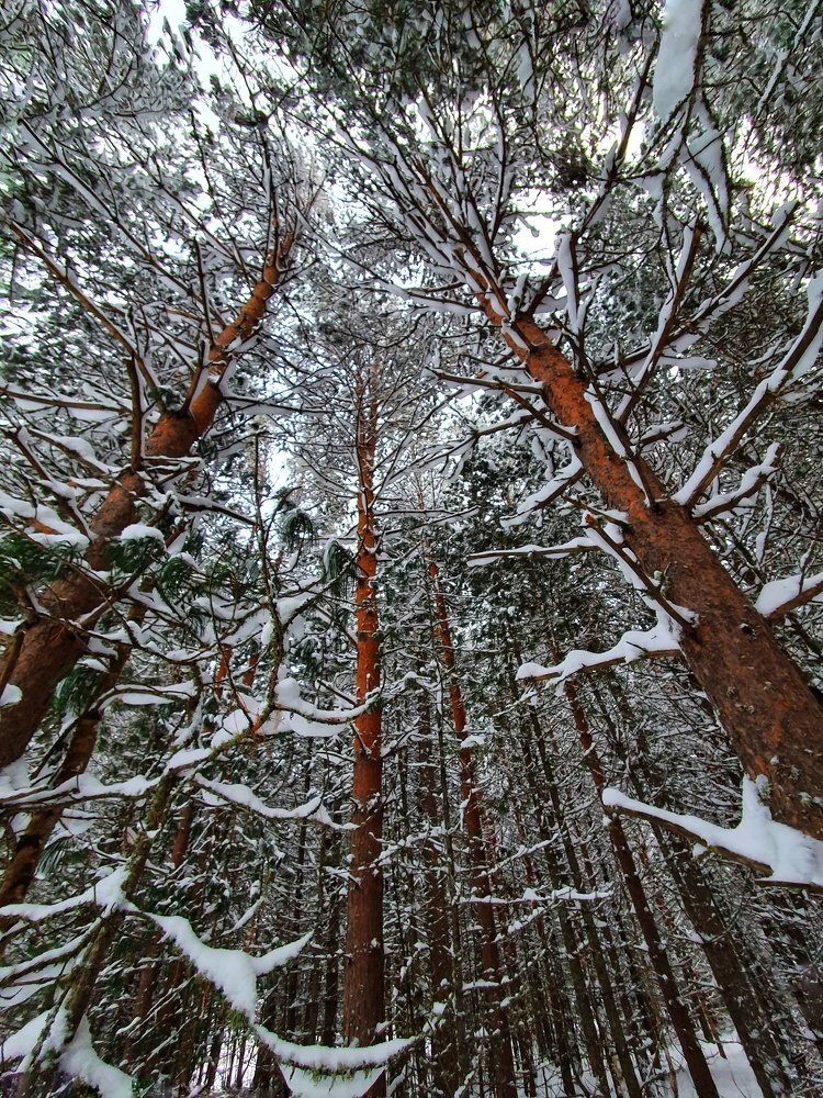 Photograph by Татьяна Мельникова