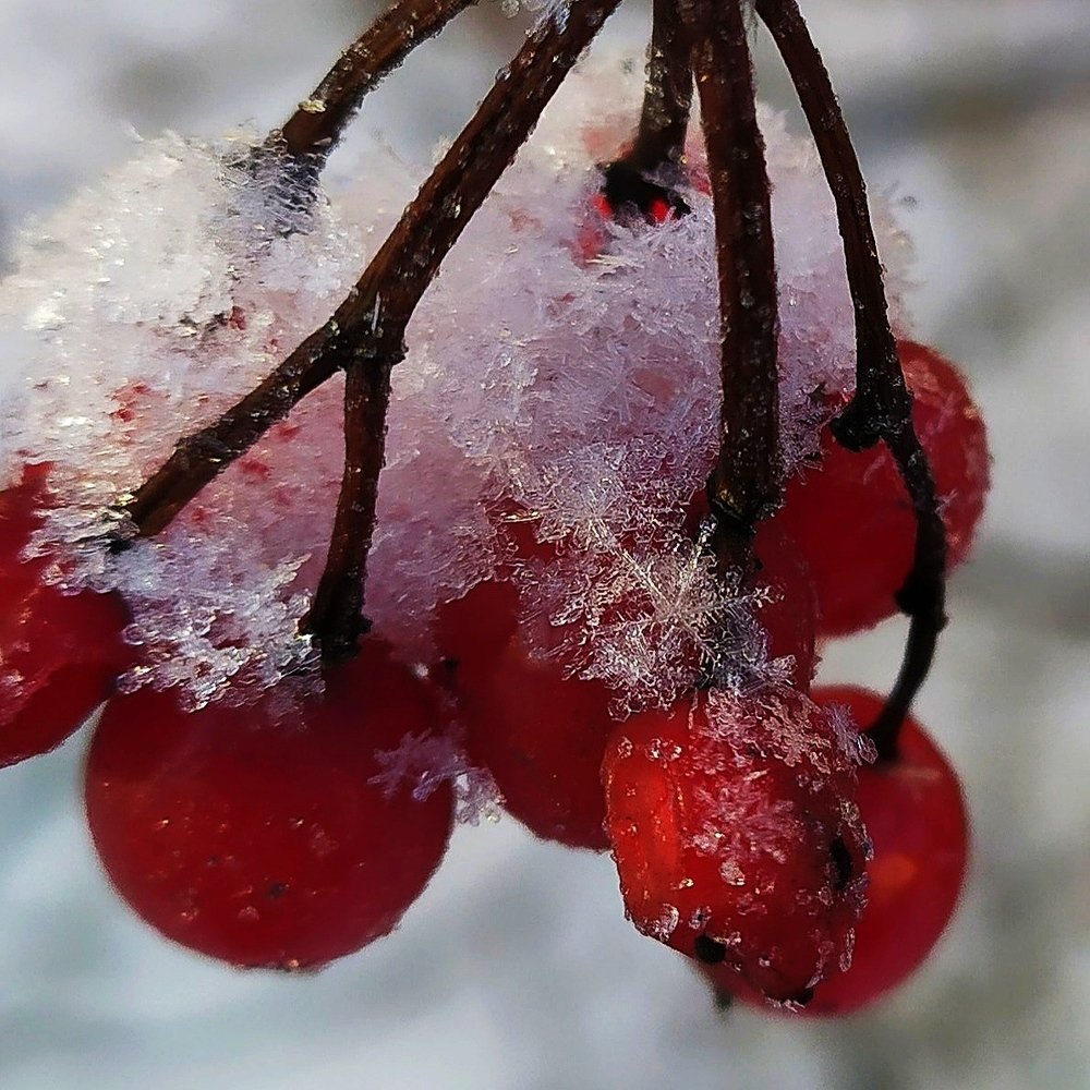 Photograph by Елена Павлова