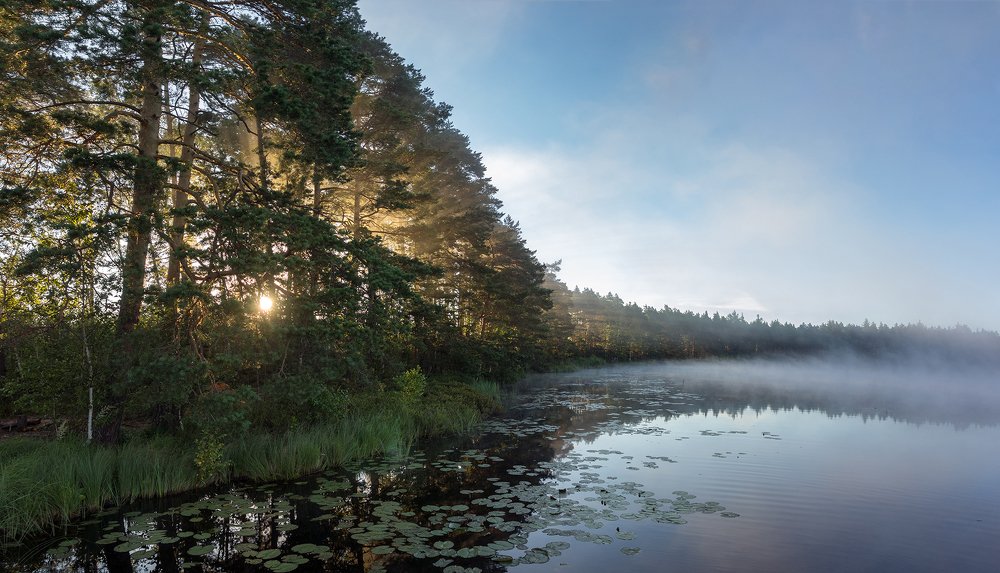 Photograph by Геннадий Михайлов