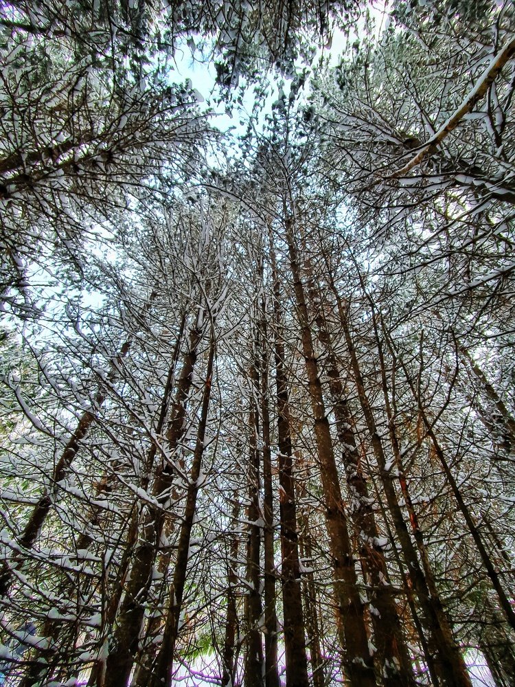 Photograph by Татьяна Мельникова