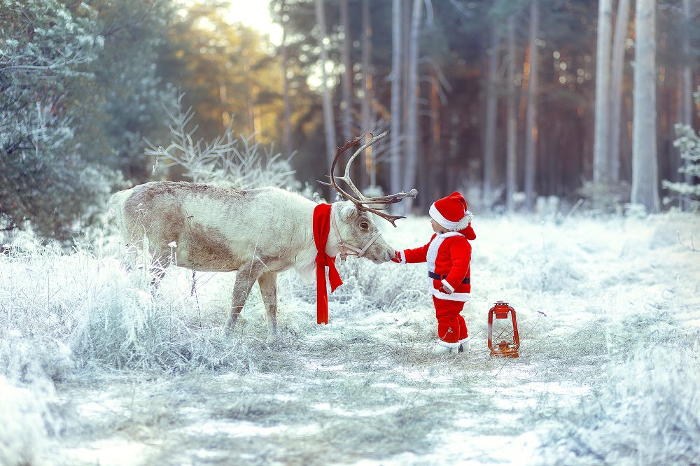 Photograph by Арина Рымакова