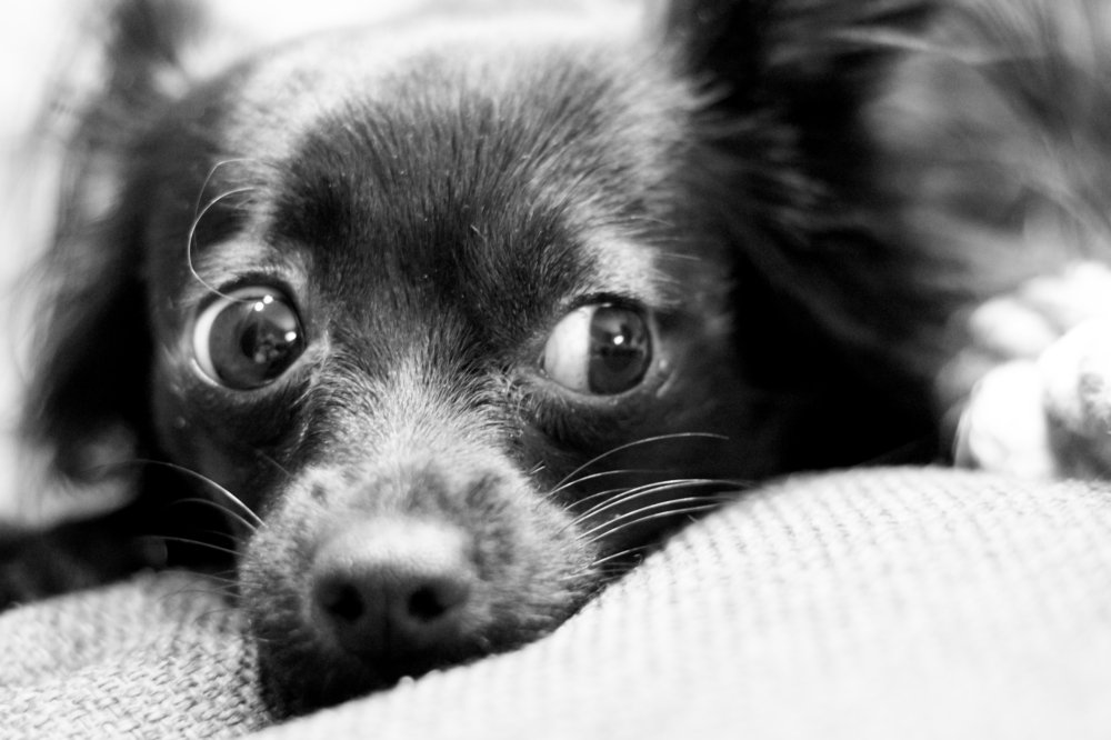 Photograph by Екатерина Слепнева