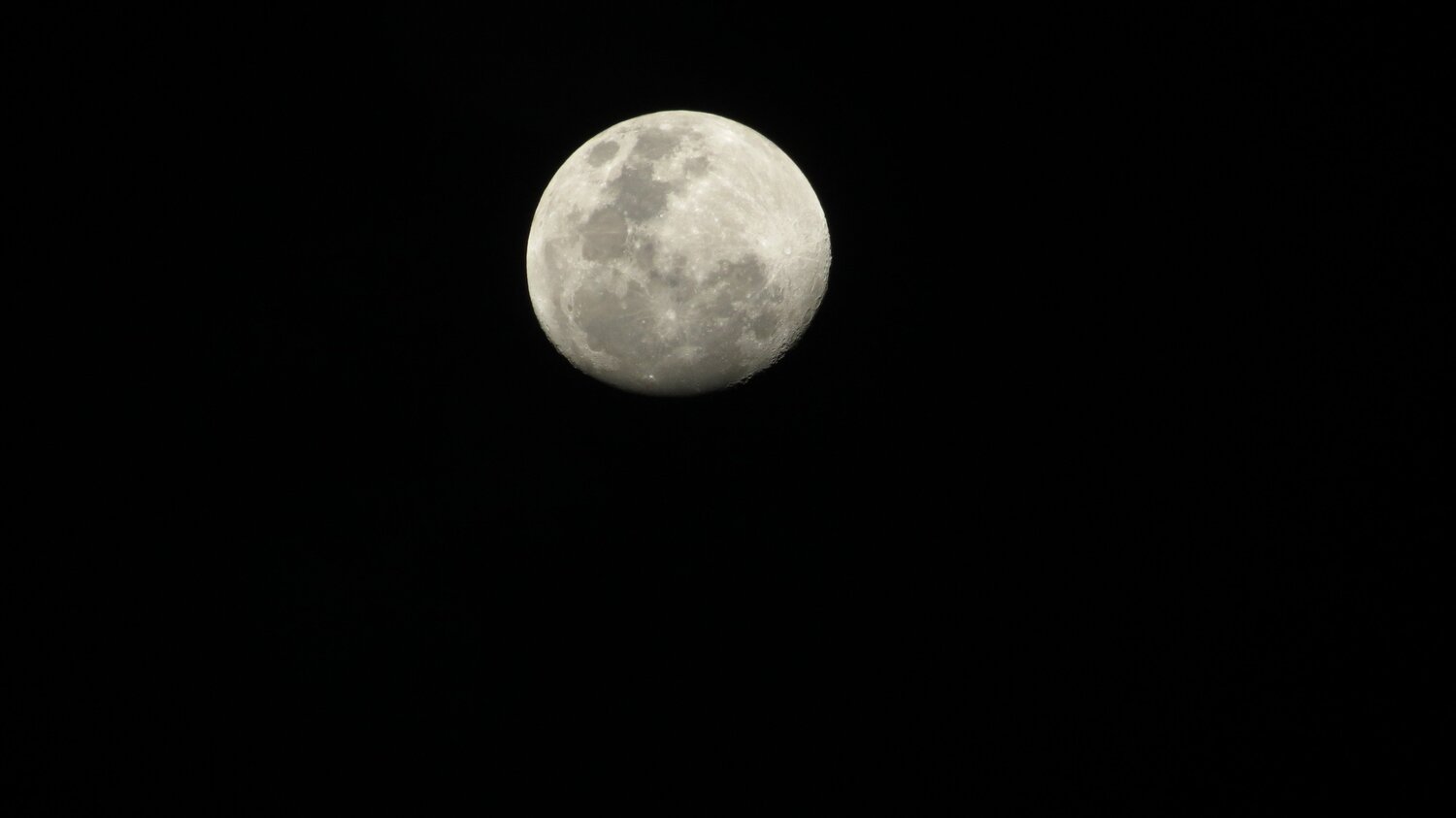 Mi Luna