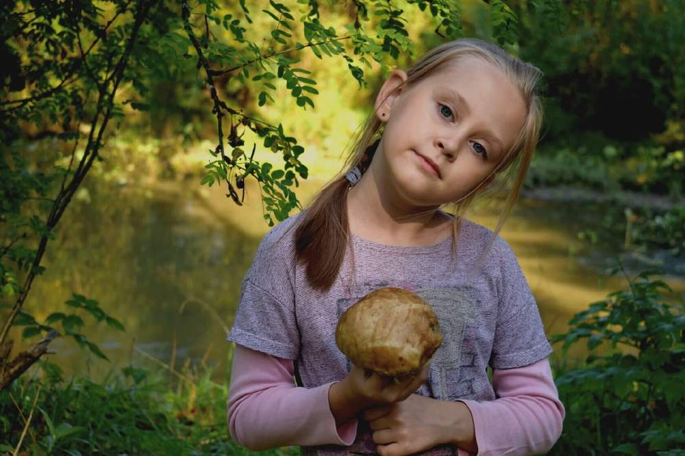 Осенью в лесу.