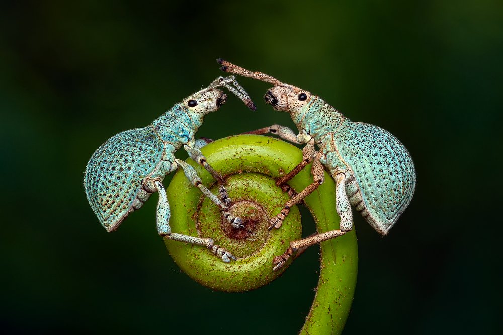 Photograph by Marcus Kam