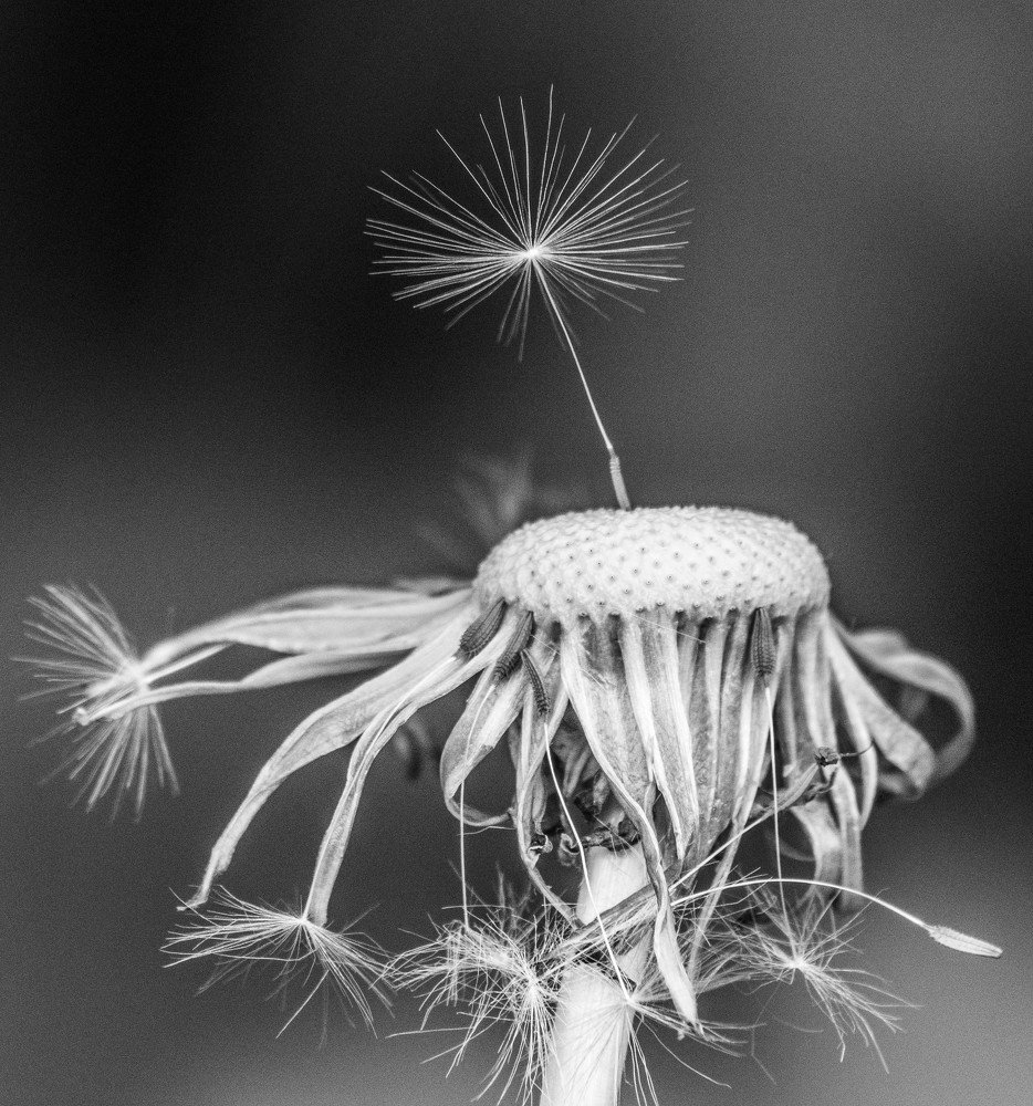 Photograph by Андрей Кротов