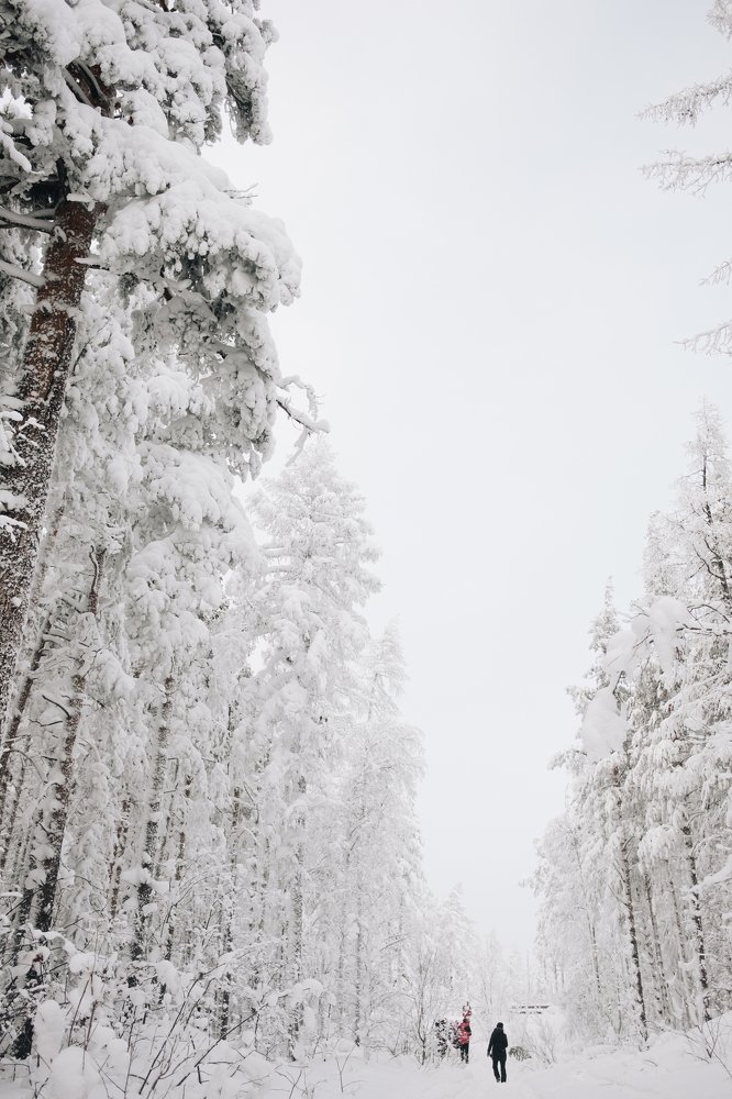 Photograph by Юлия Балдина