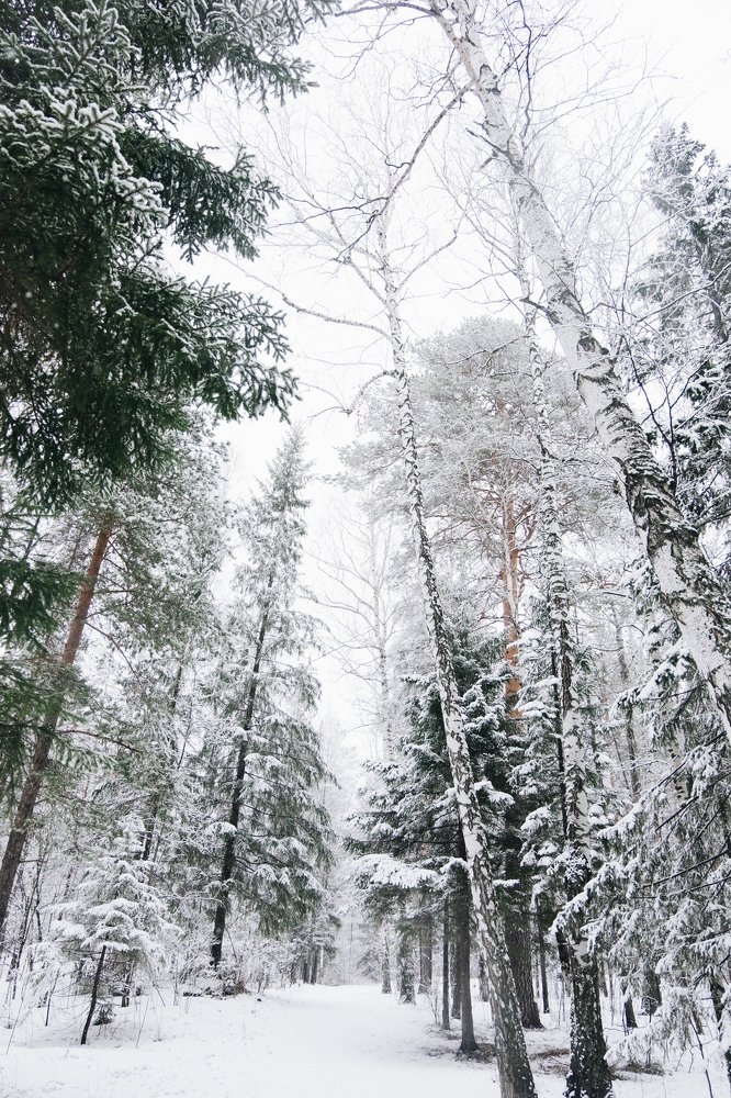 Photograph by Юлия Балдина