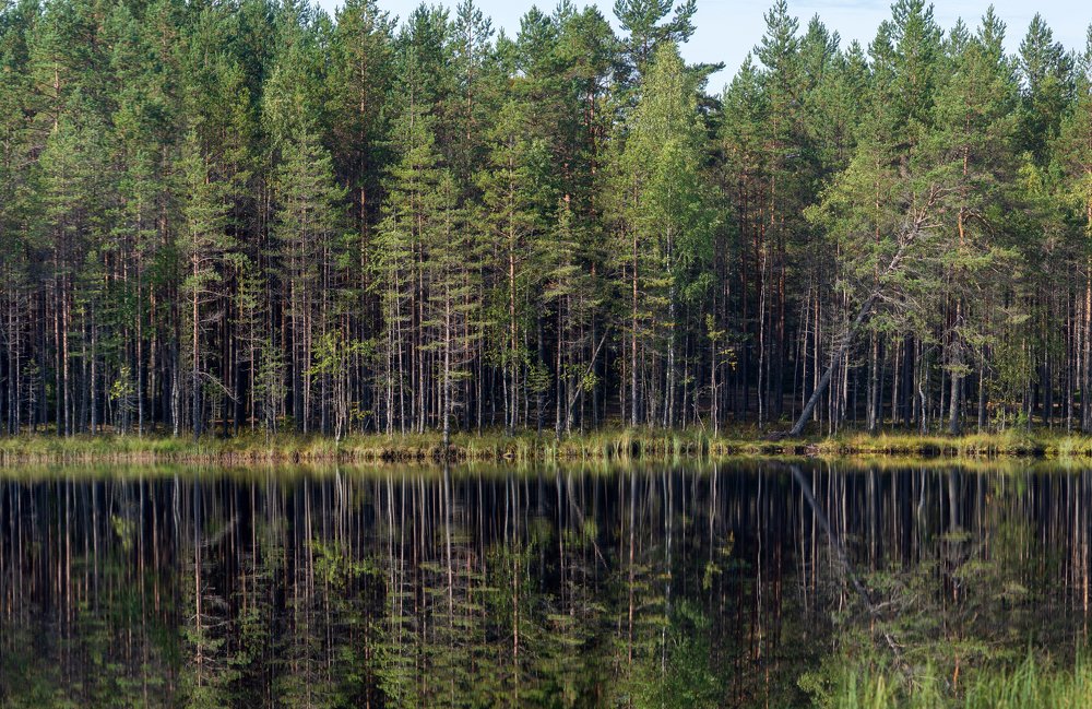 Photograph by Анастасия