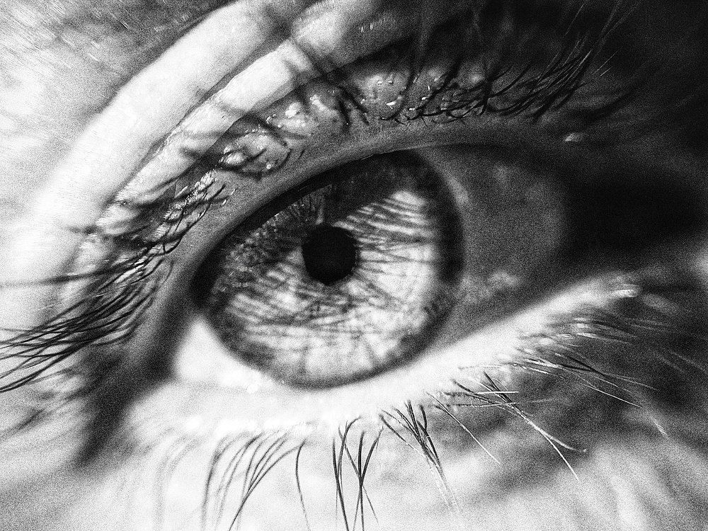 Photograph by Daniela