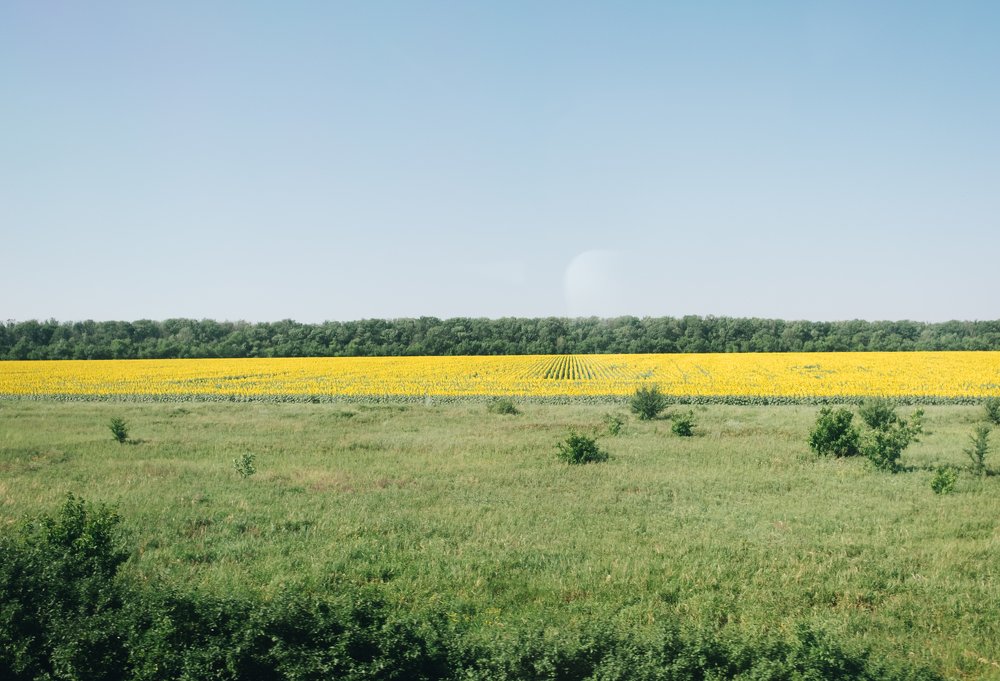 Photograph by Юлия Балдина