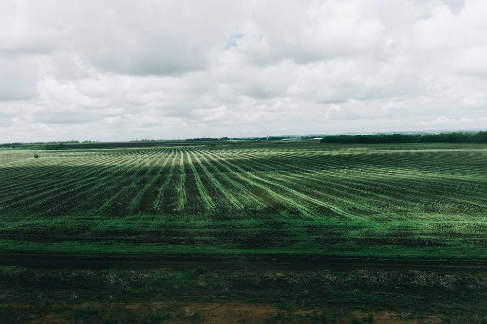 Photograph by Юлия Балдина