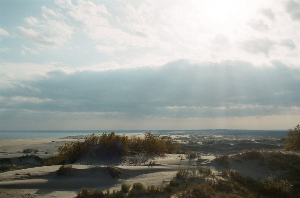 Дюны Куршской косы на фотопленке