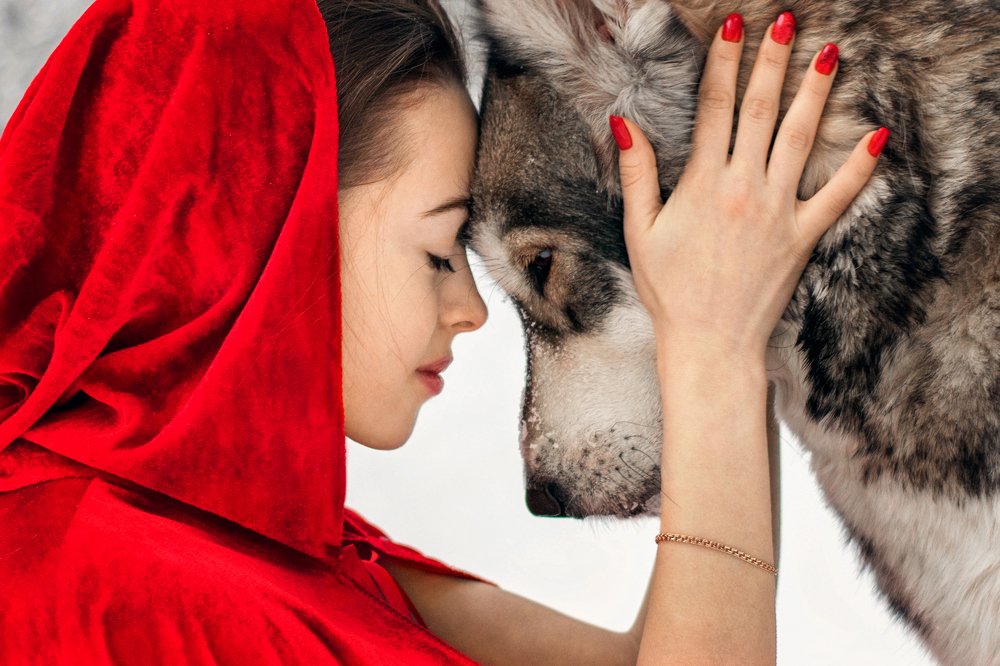 По мотивам Красной шапочки