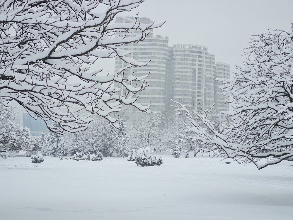 Photograph by Елена Никитюк