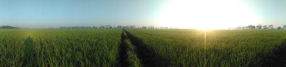 Photograph by Ansyah Badri