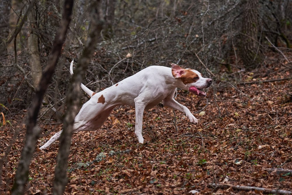 Photograph by Наталья Богач