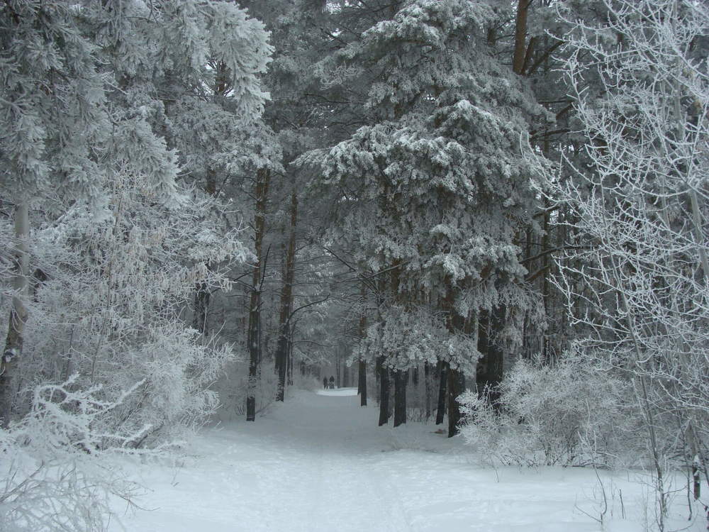 Фотография автора Павел Попов