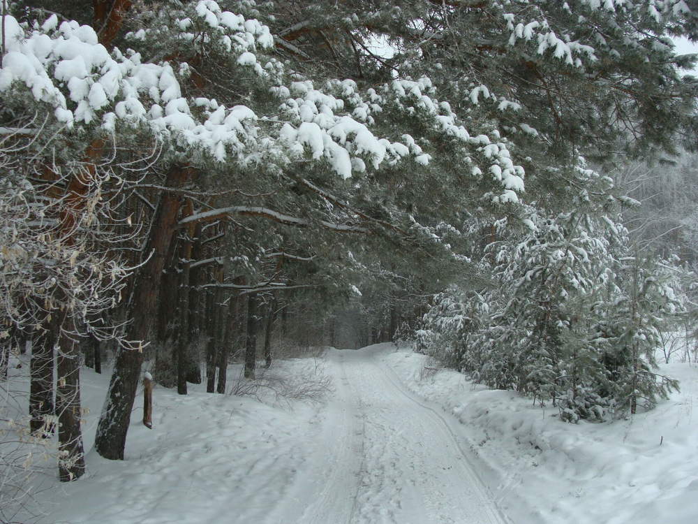 Фотография автора Павел Попов