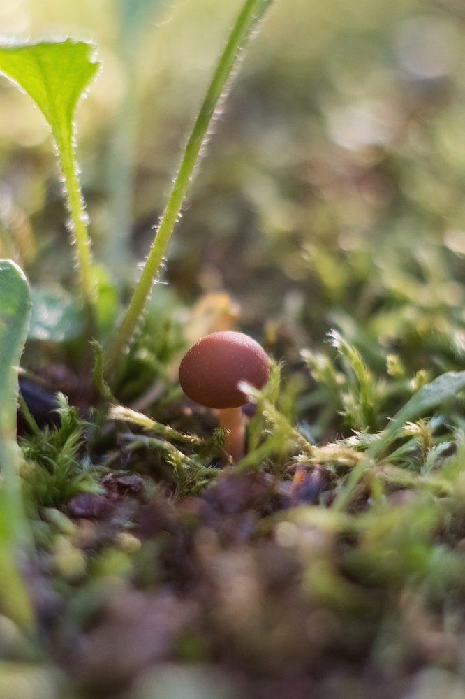 Photograph by Юлия Кузьмина