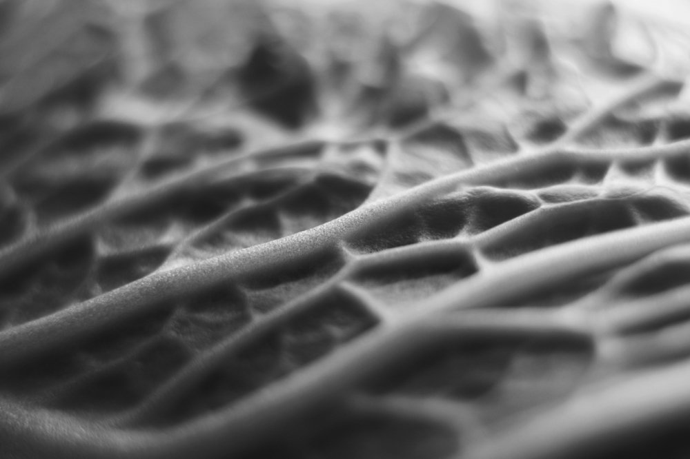 Photograph by Юлия Кузьмина