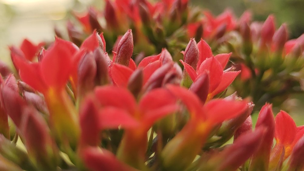 Фотография автора ASHISH BHAGAT