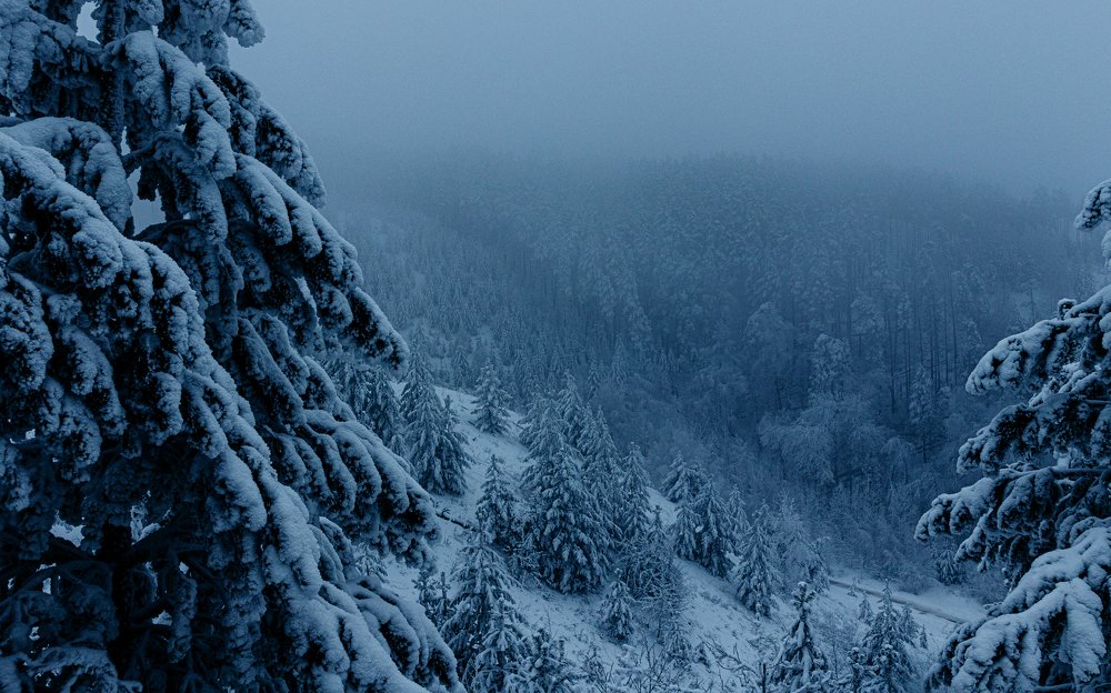 Photograph by Герман Матвеев